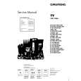 GRUNDIG SYDNEY 100 Manual de Servicio