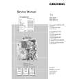 GRUNDIG P37830MULTI/ICN Manual de Servicio