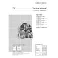 GRUNDIG T 51-830 MULTI/ICN Manual de Servicio
